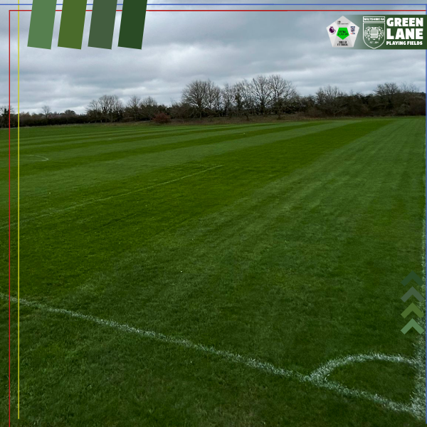 Green Lane Playing Fields tweet media