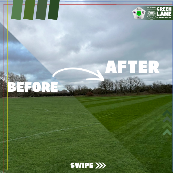 Green Lane Playing Fields tweet media