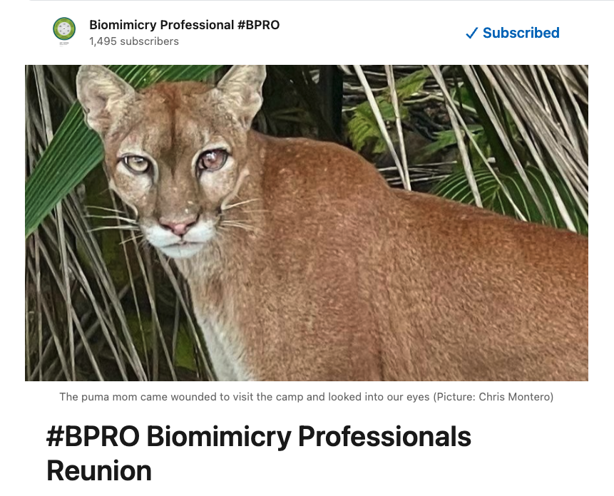 Vibriofischeri tweet media