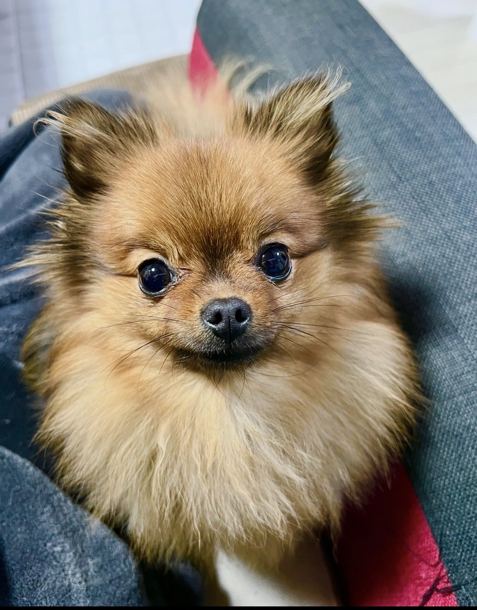 真釣♂ (@maturiotoko7188) / Posts / X