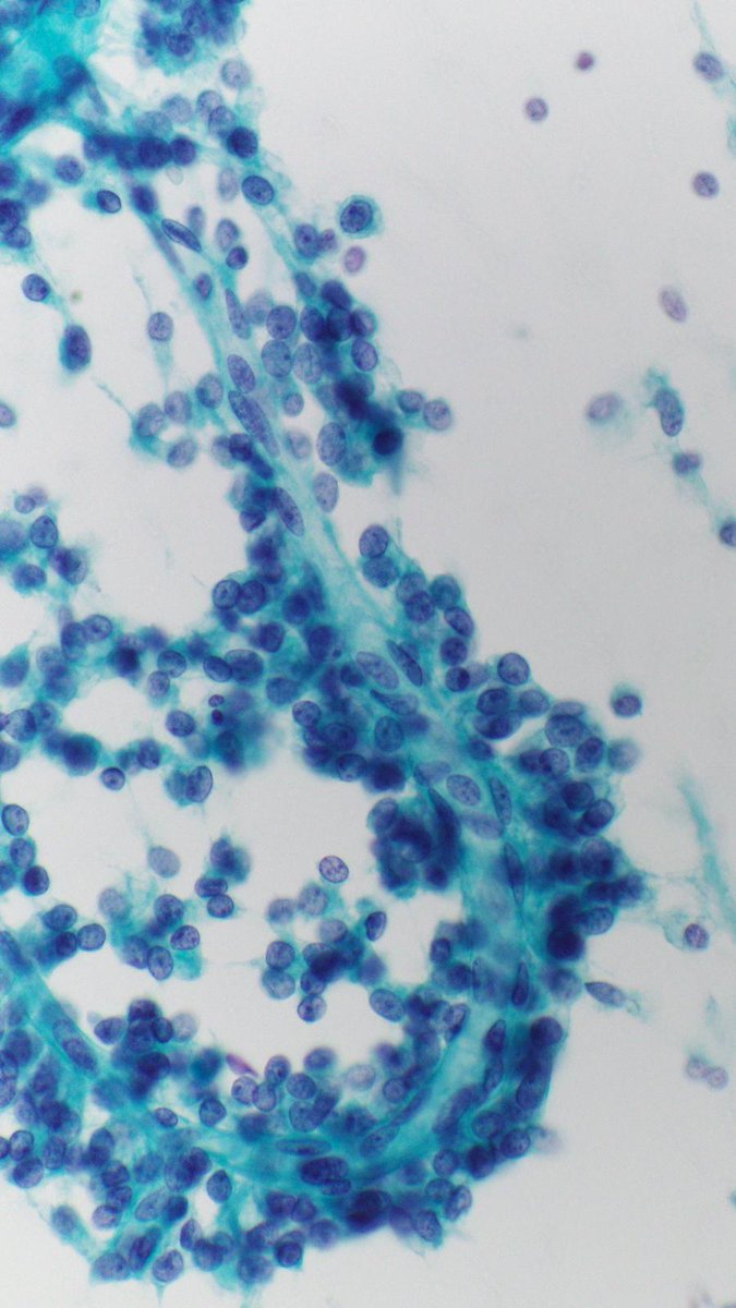 Charlie Herndon tweet media