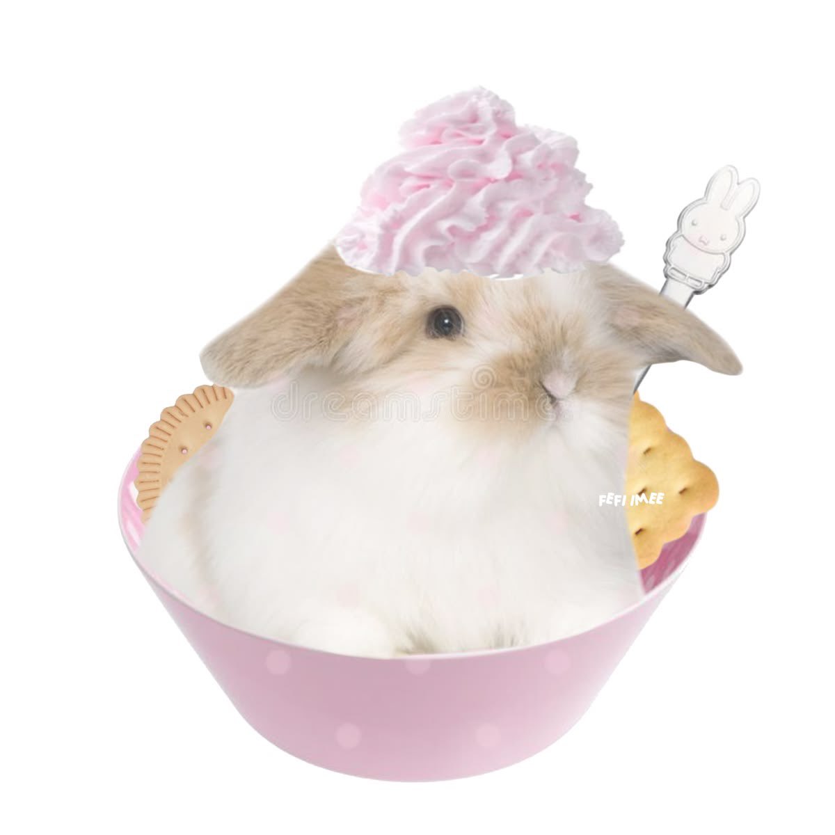 ˖ ꜝ❤︎ kimi 𑣲 ⏦ﾟ tweet media