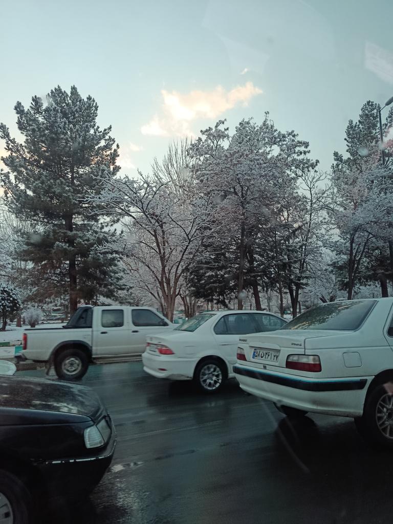 شەوین tweet media