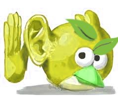 Cac0_G@zapo tweet media