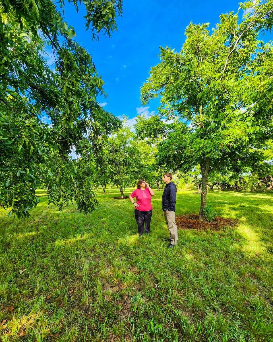KarinaGBruno's tweet photo. Visitamos El Nocedal, un proyecto donde Valentin y su familia se dedican  a la producción agroecológica de nuez pecan y a la elaboración de productos con valor agregado, que hoy alcanza una producción de más de 1.300 kilos anuales.

Este tipo de iniciativas reflejan el empuje, la innovación y el compromiso de quienes apuestan a producir, emprender y generar trabajo en nuestra ciudad.

Acompañar y visibilizar estos proyectos en Villa María es fundamental. Fortalecer a los emprendedores locales es impulsar el desarrollo, la economía regional y más oportunidades para toda la comunidad. 🌱🤝