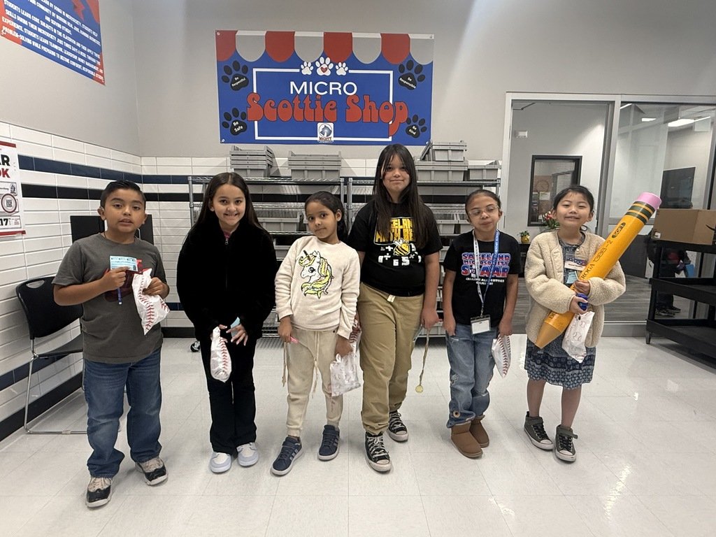 Sageland MicroSociety tweet media