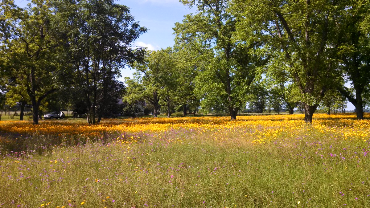 Good morning from Florida. R.E.D. Friday