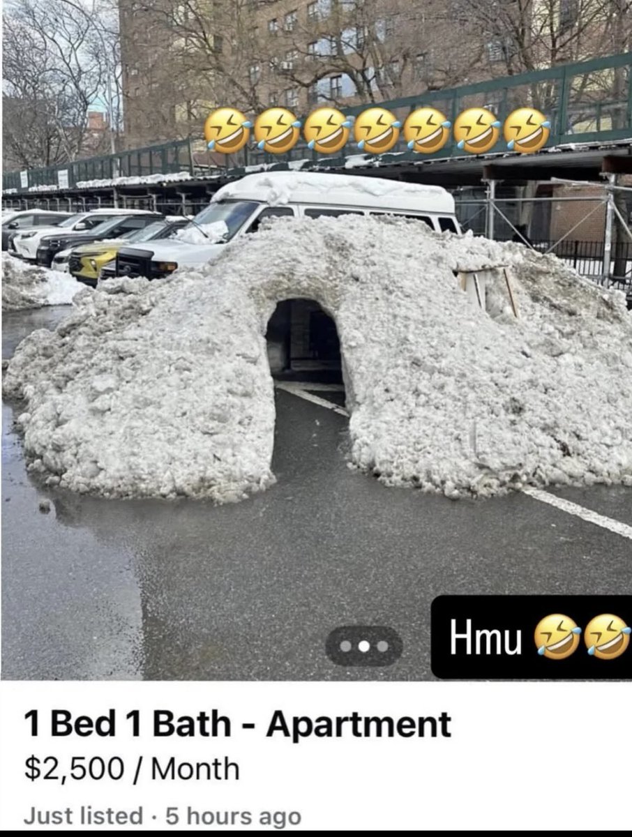 DoggoMaestro𝕏🇺🇸 tweet media