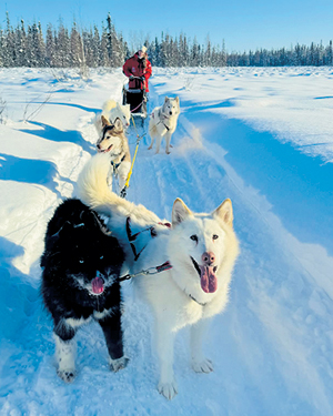 OUR DOGS tweet media