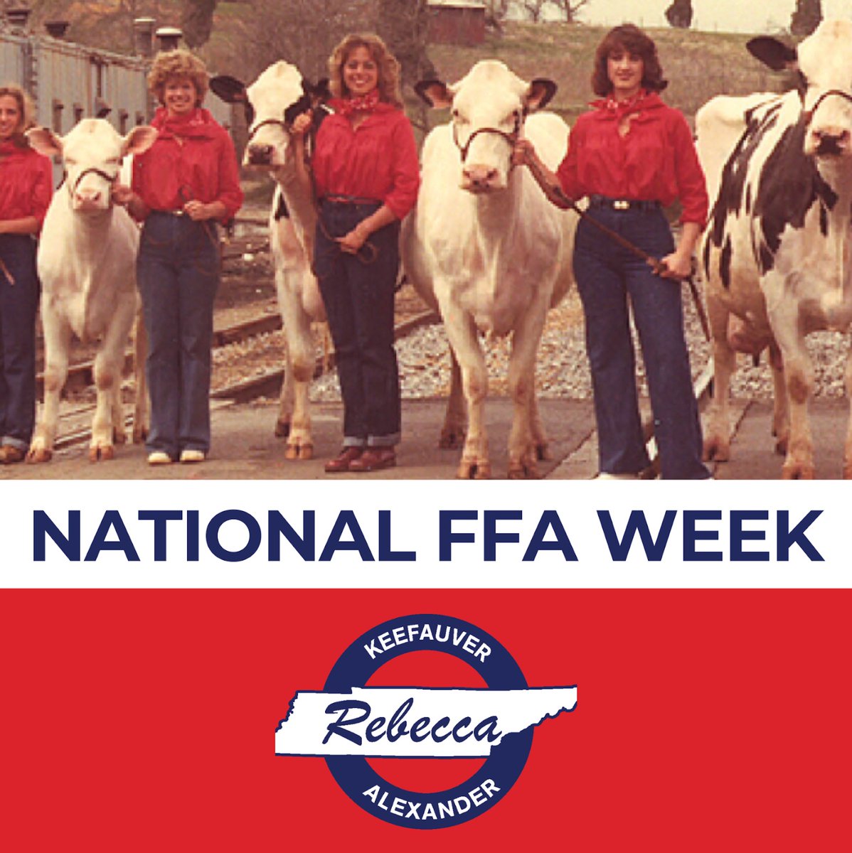 Representative Rebecca Alexander tweet media