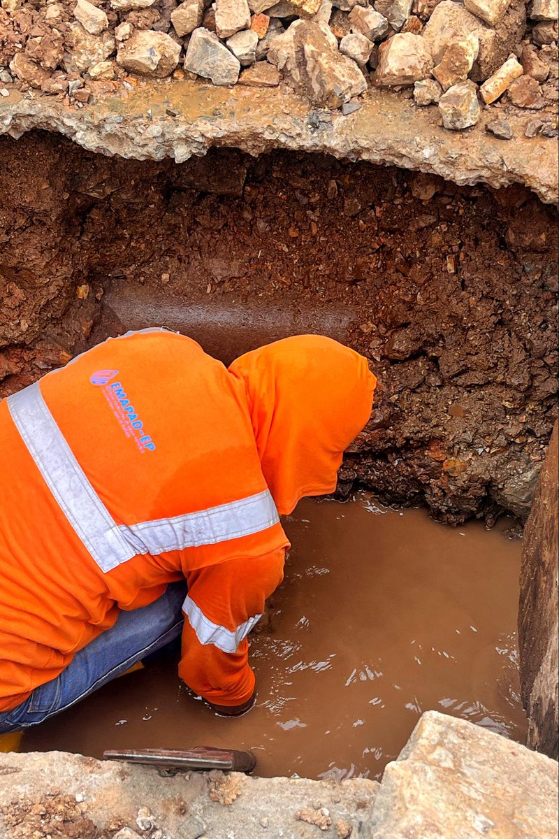 EMAPAD-EP tweet media