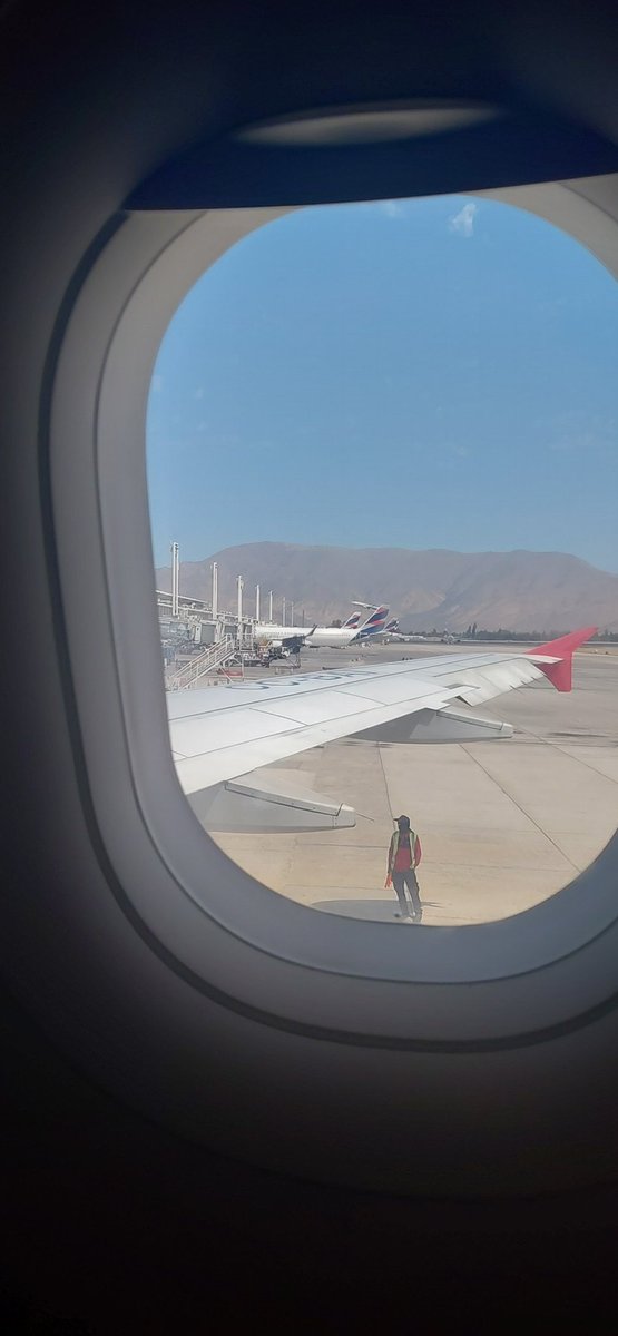 Tortuguita tweet media