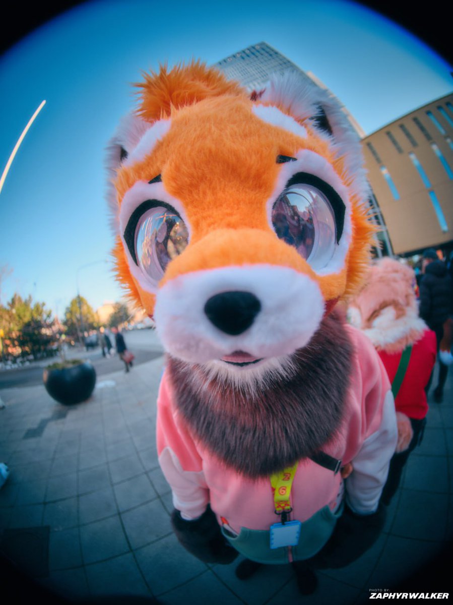 Christophe tweet media