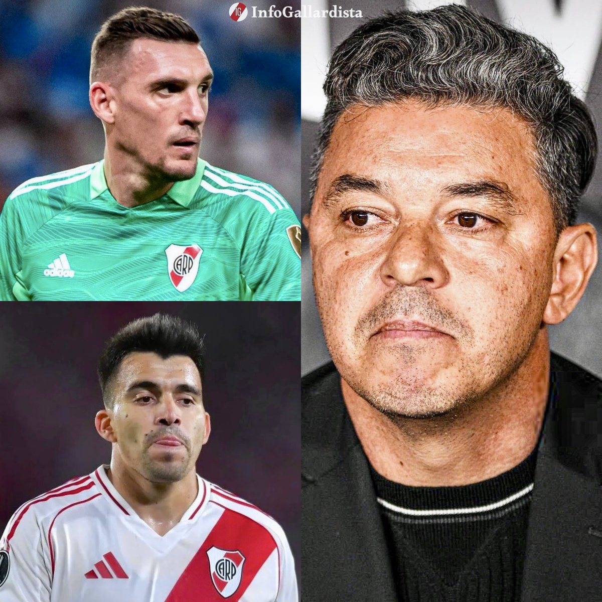 Info Gallardista tweet media