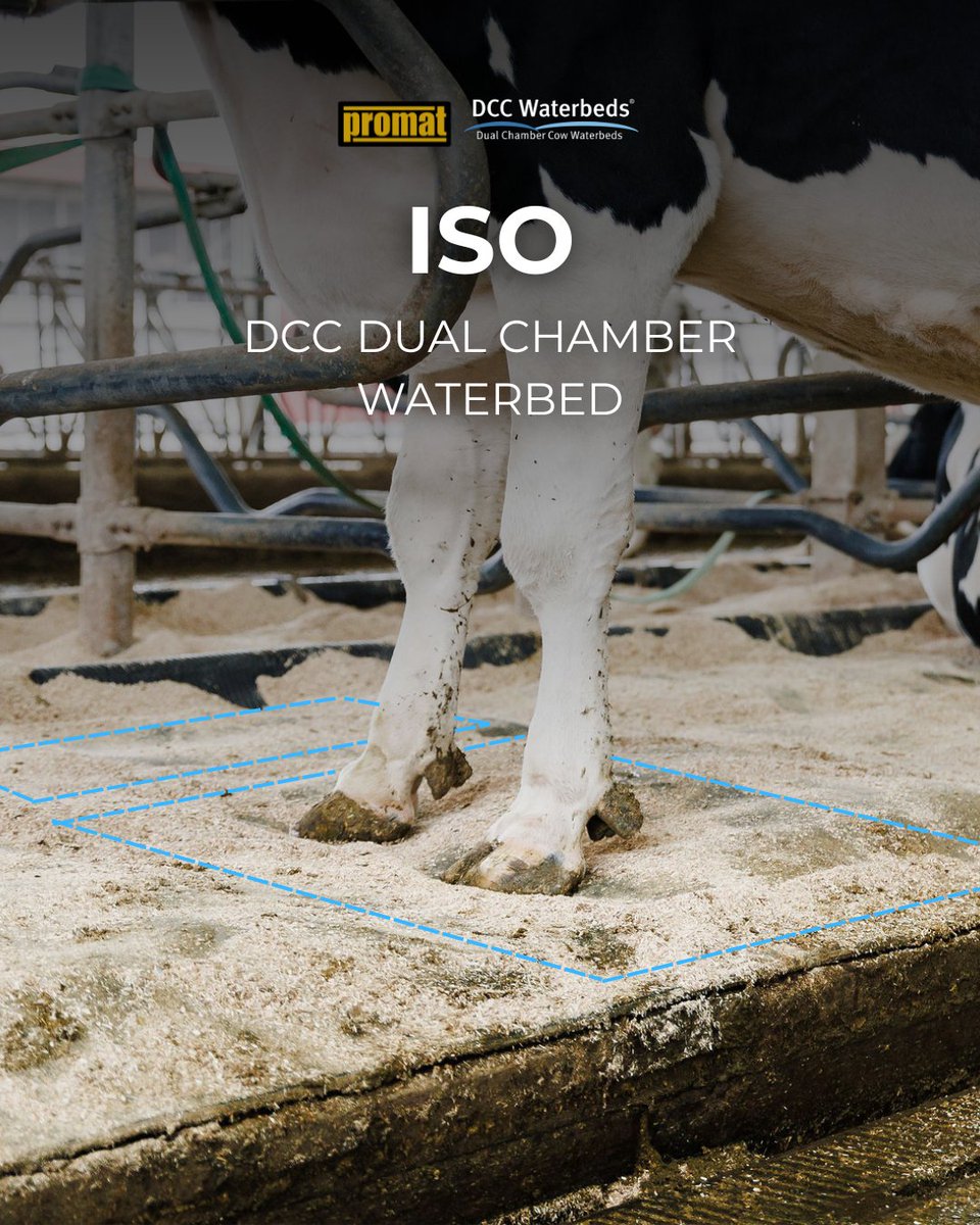 Promat Inc. tweet media