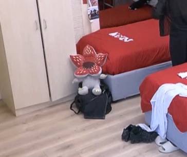 non solo la felpa è arrivata a destinazione