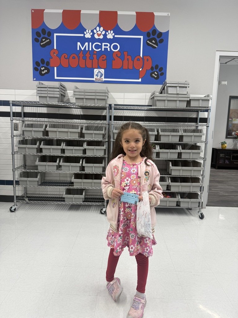 Sageland MicroSociety tweet media