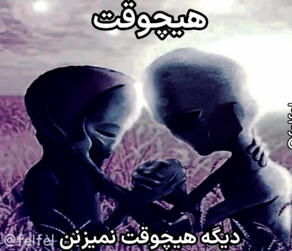 هانیمون tweet media