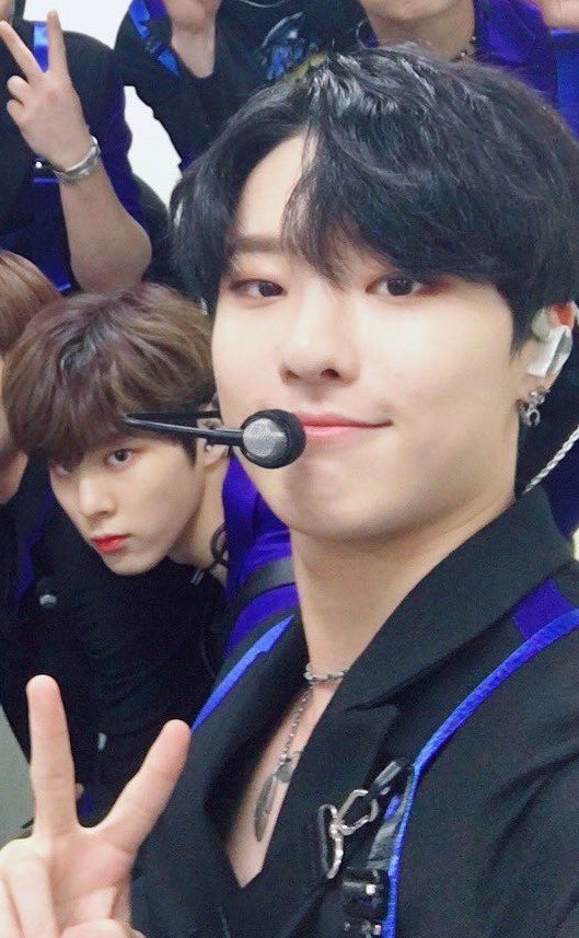 금락초 tweet media
