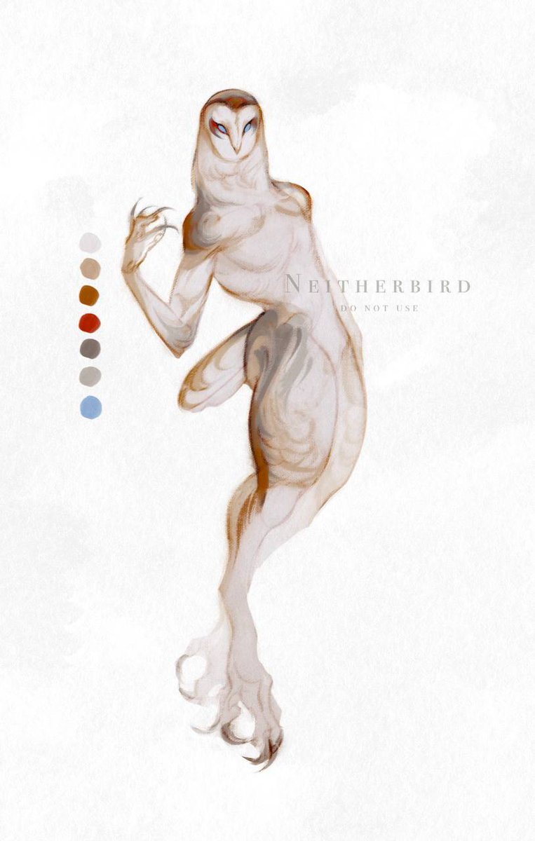 Neitherbird tweet media