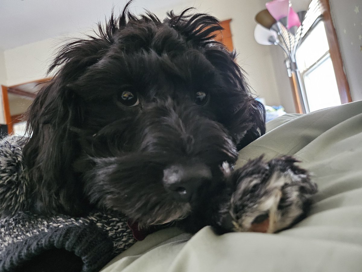 Gemmo Fantasia(alien vtuber) tag:GemmArt tweet media