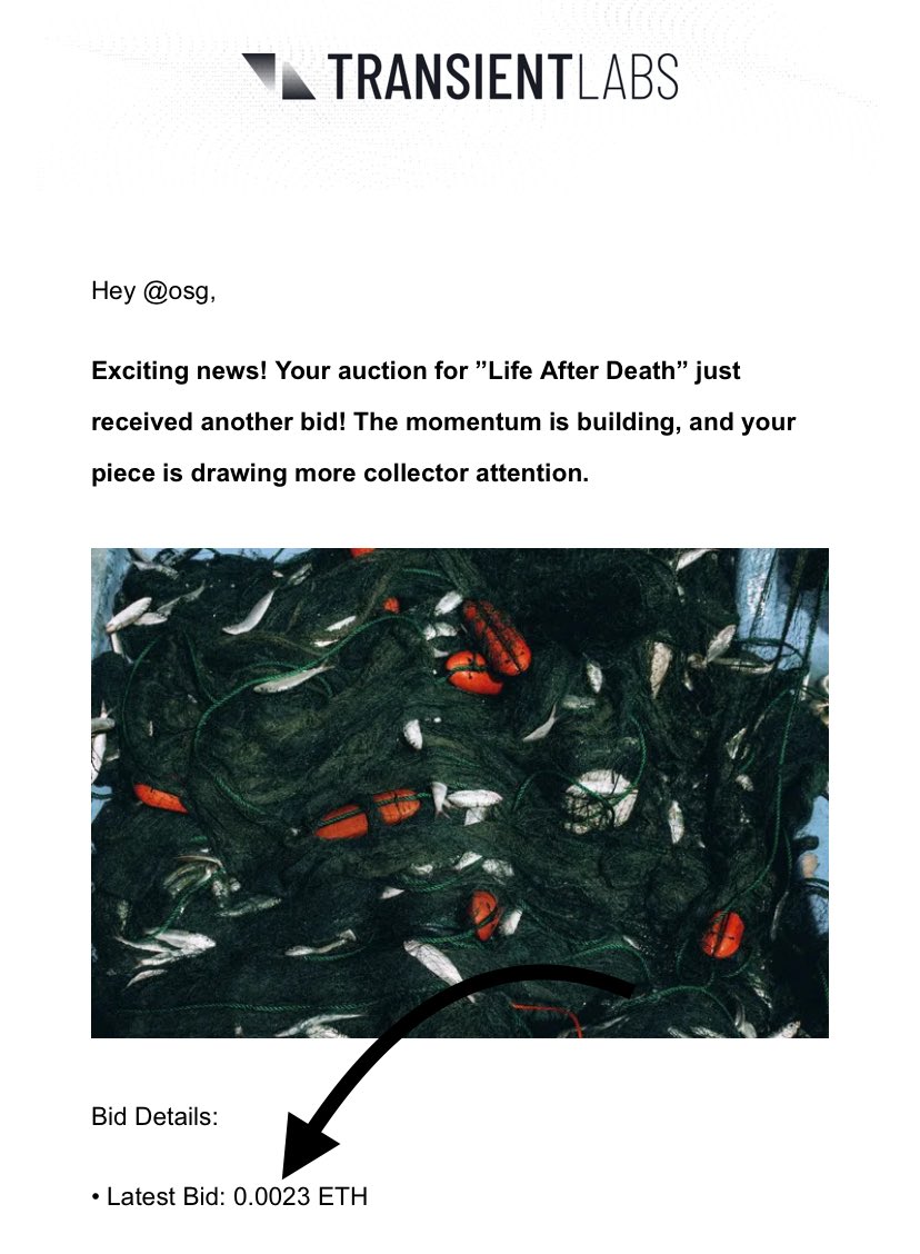 oddshotsgallery tweet media