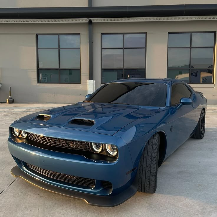 Filiz Kayali tweet media