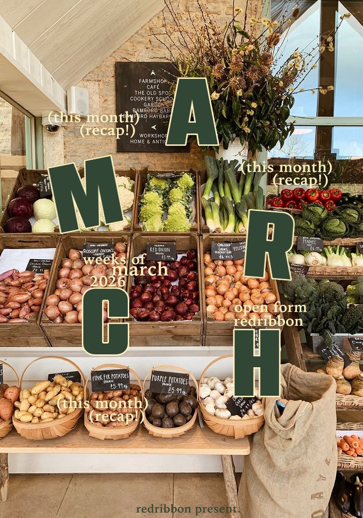 Harper (Ha—Chan) tweet media