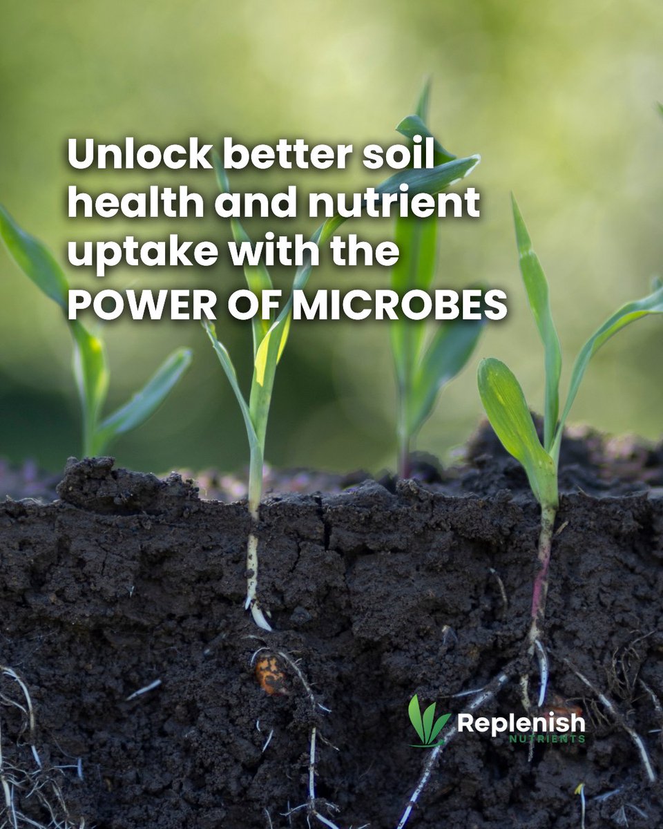 Replenish Nutrients tweet media