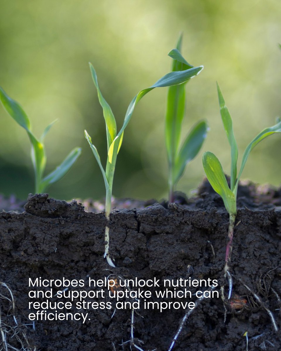 Replenish Nutrients tweet media