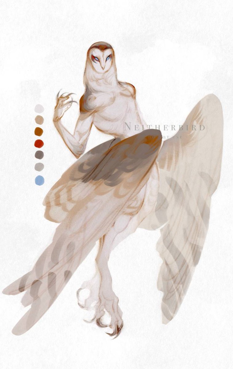 Neitherbird tweet media