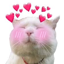 ada zetayang  #onaeru