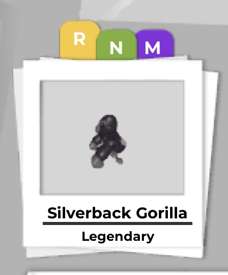 Uplift Alliance 🔎 tweet media