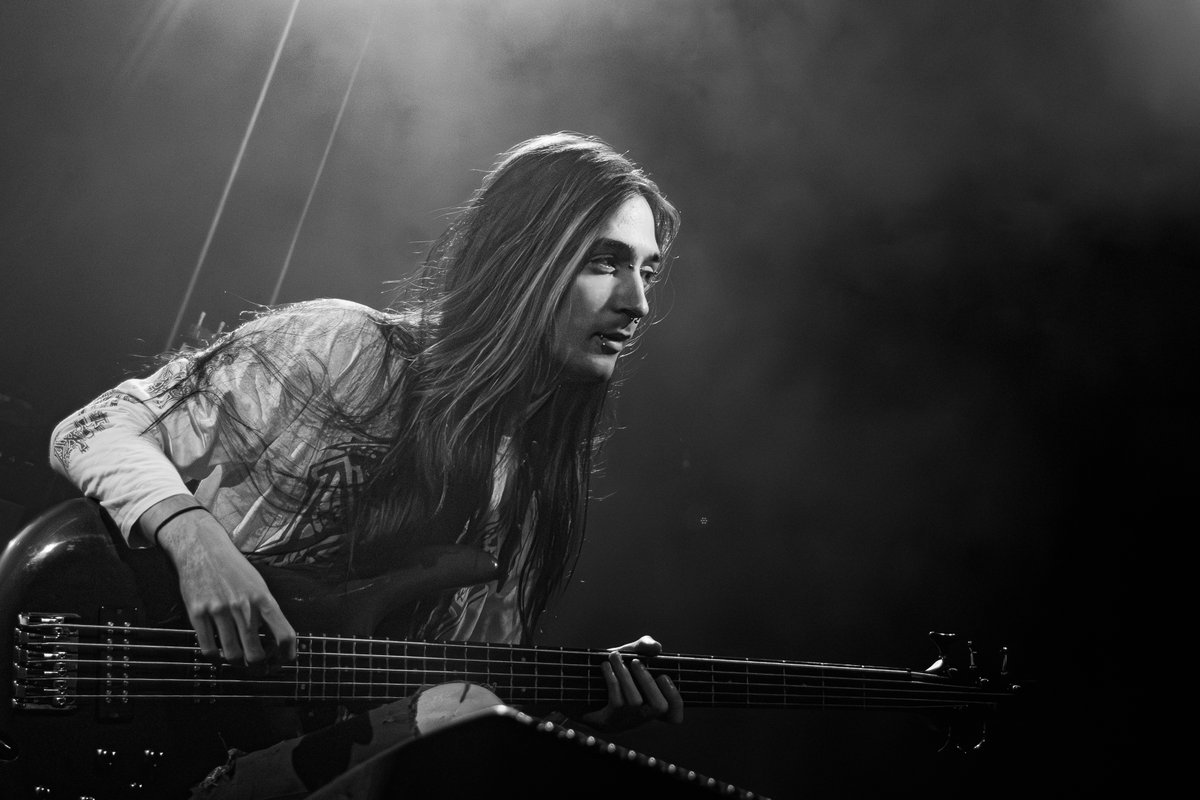 📸 Scyf tweet media