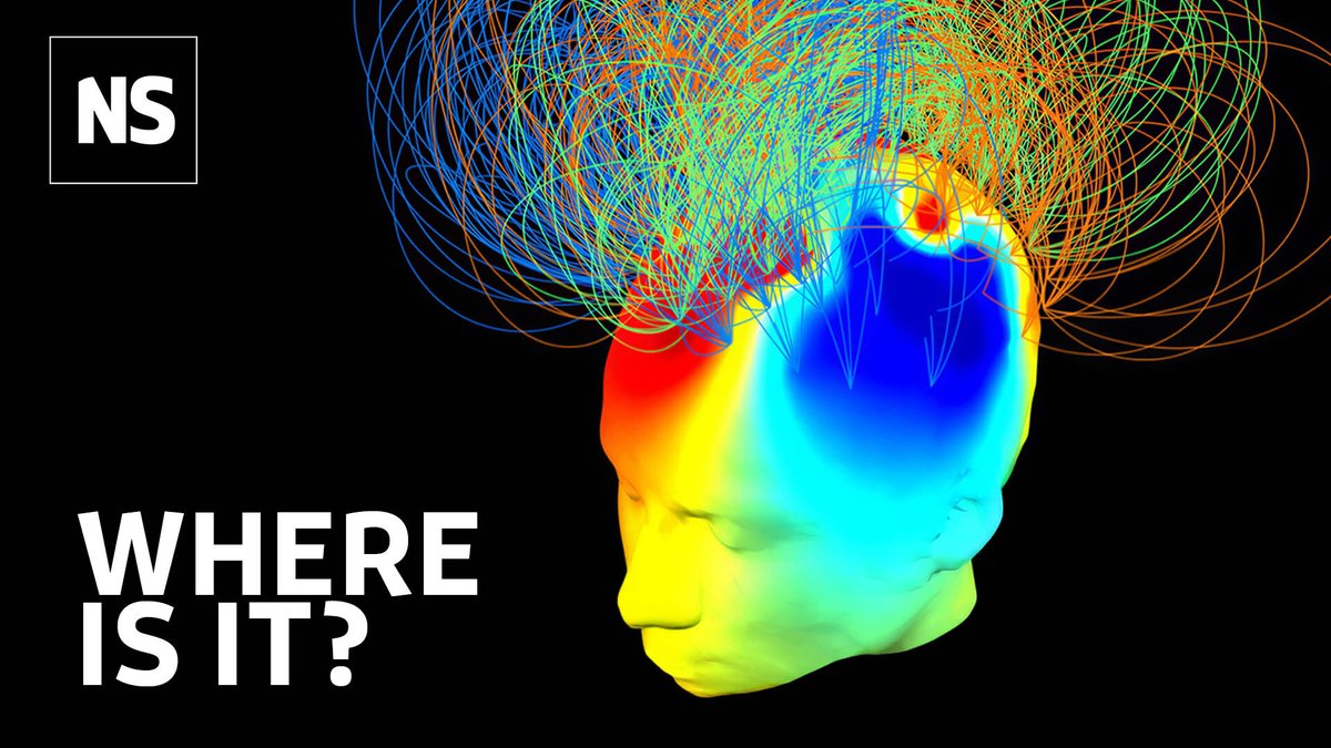 What is consciousness? Is free will an illusion? And how does it manifest in the brain? These are questions that have fascinated scientists and philosophers for centuries. In our latest YouTube livestream, we explore the conscious mind with video stories and expert talks from the