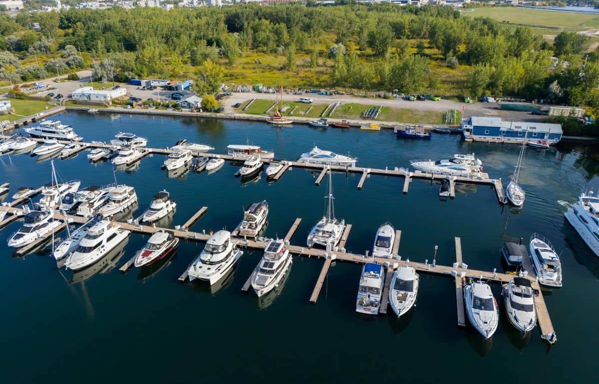 Marina de l'avant port tweet media