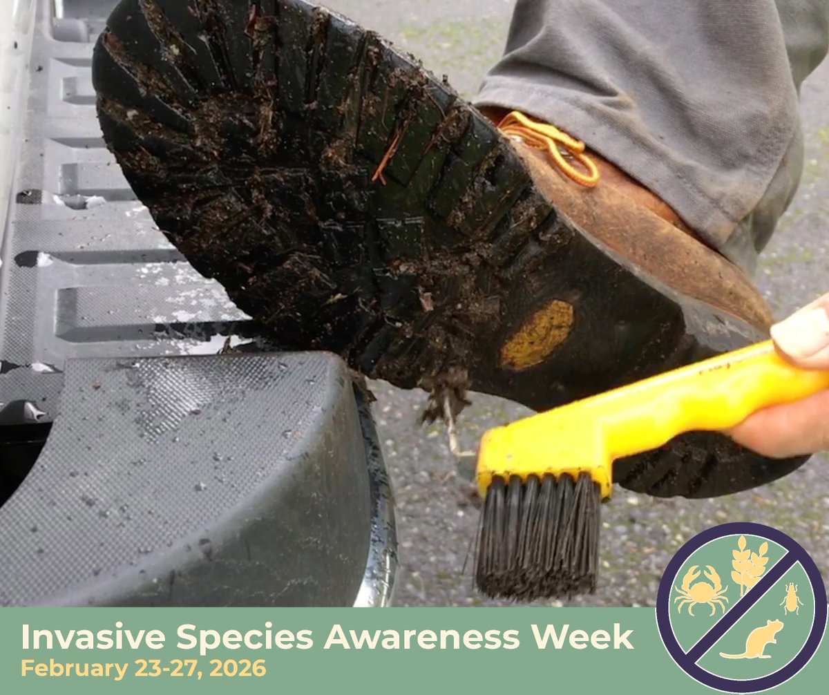 Whatcom County Public Works tweet media