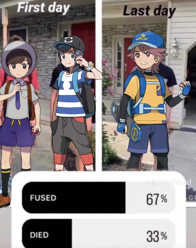 Goldsun44 tweet media