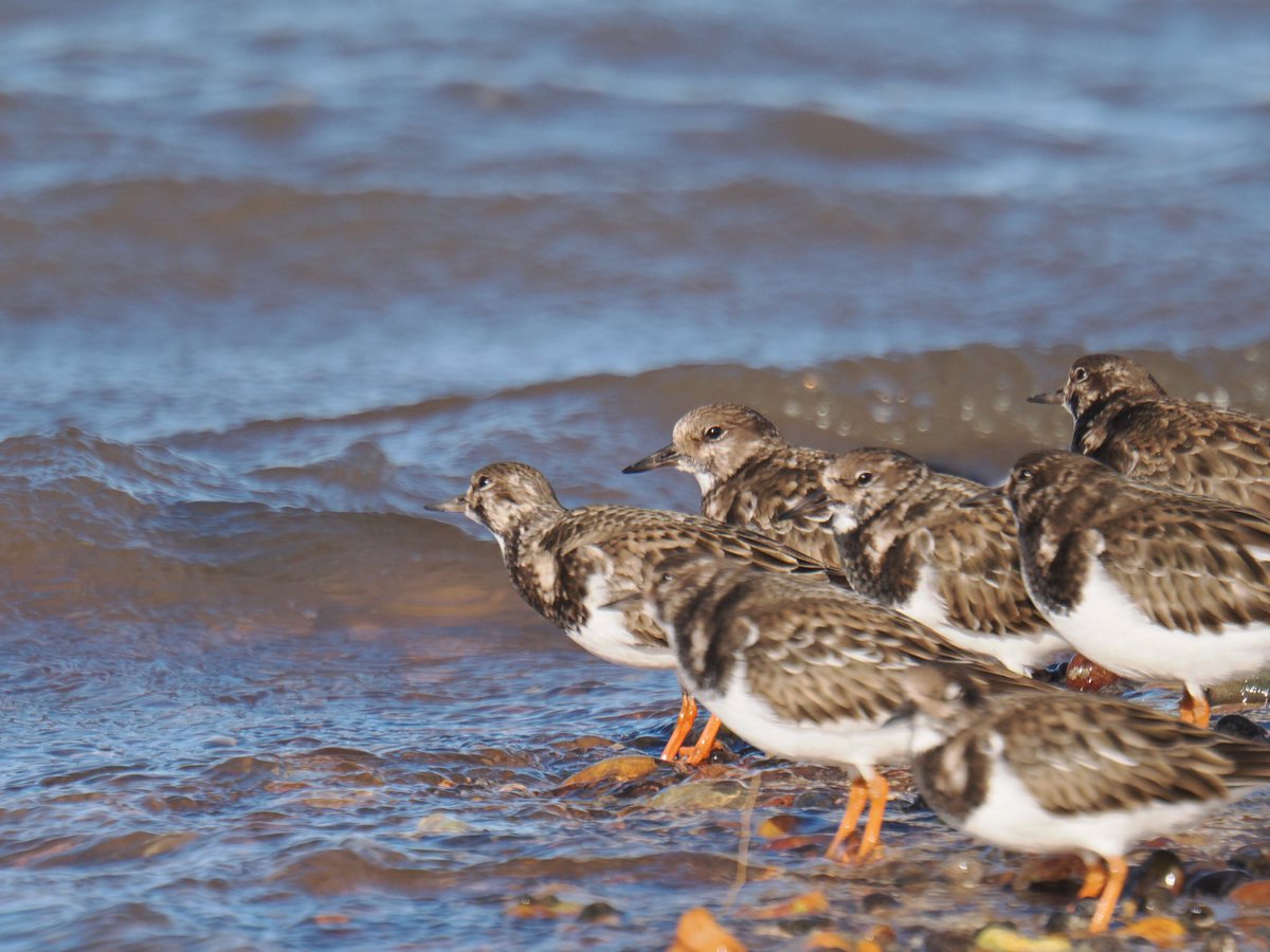 Tim Ridgeway tweet media