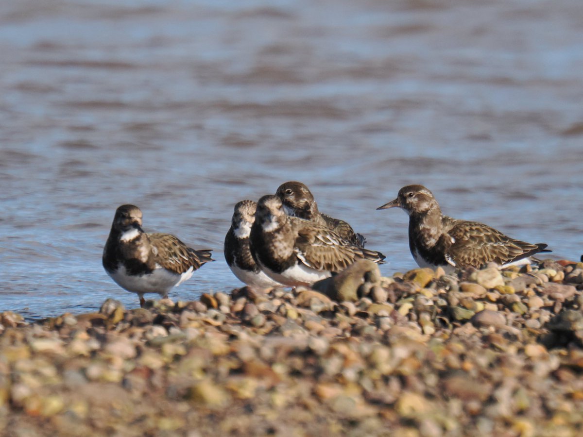 Tim Ridgeway tweet media