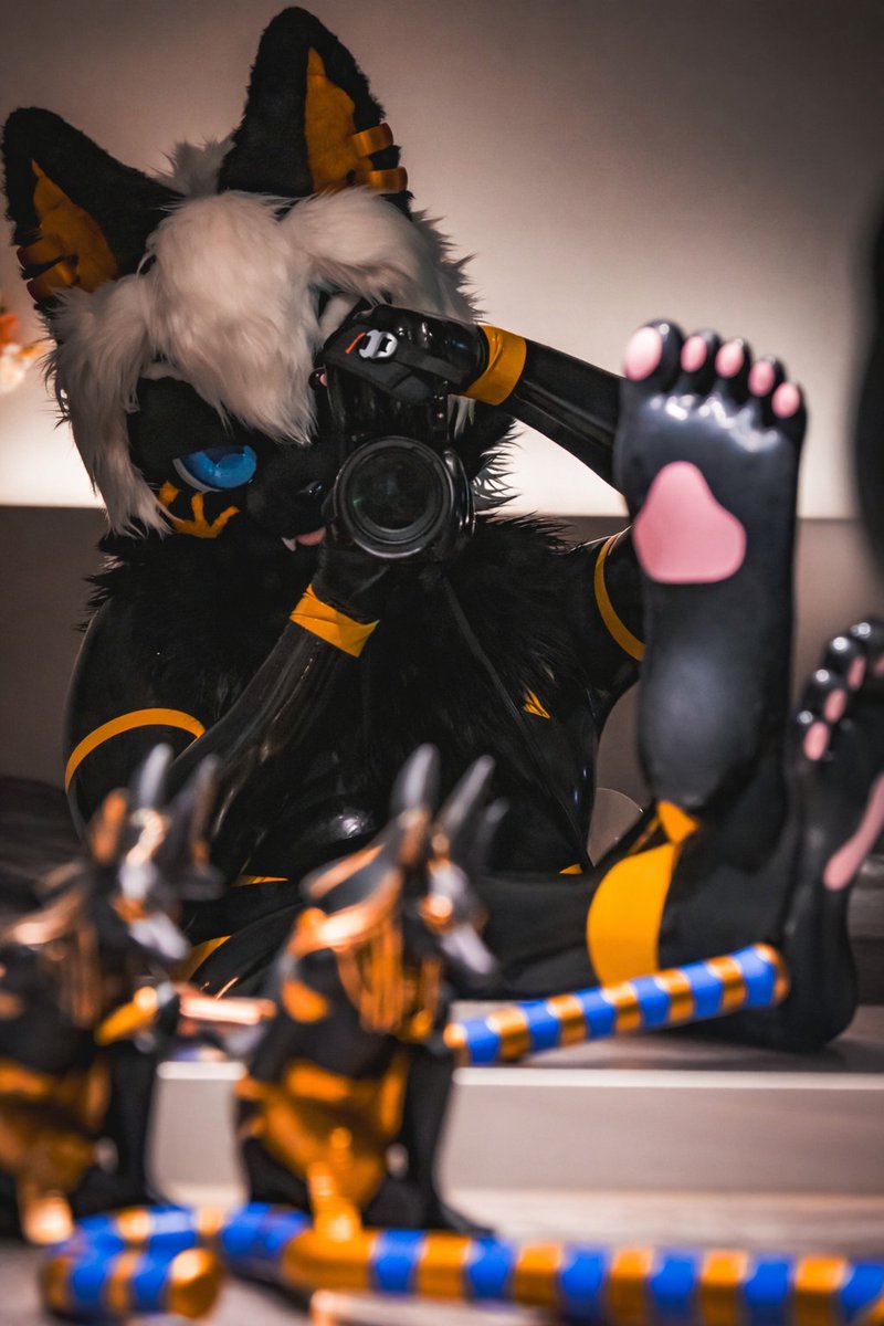 Anue_Latex ‏𓁢 tweet media