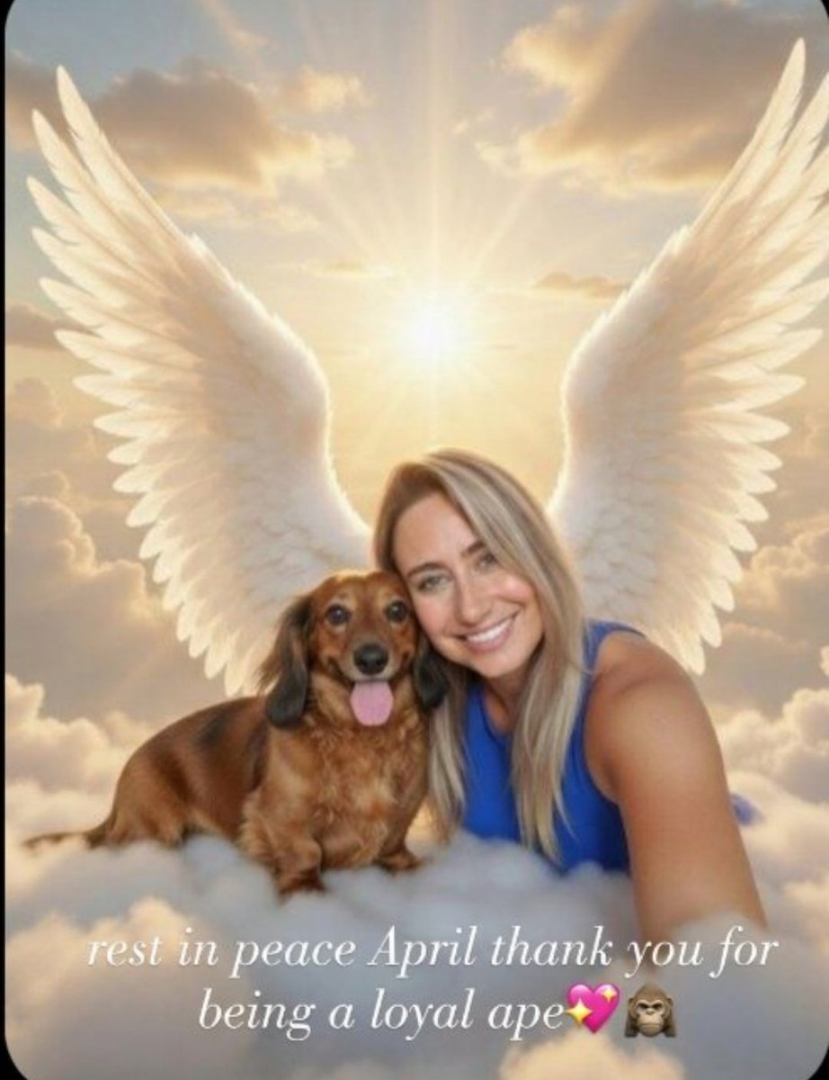 April 1st national April Sojka day. Her Birthday.  Calling all Apes and investors worldwide.
   Go see a $AMC movie in her honor. April is a beloved member of the $AMC, $HYMC and $GME communities and to millions of APES around the world. Her passion and love for her investments