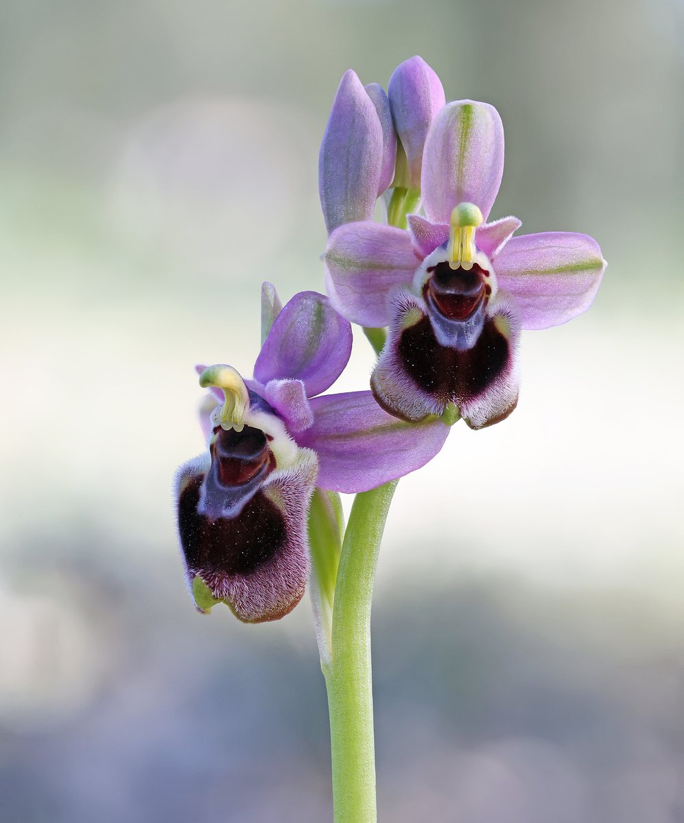 Matt Berry tweet media