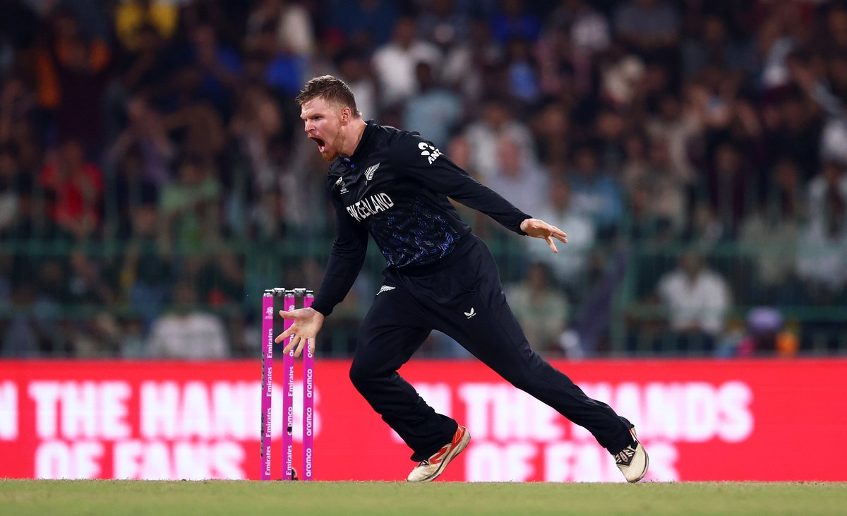 Robert Cianflone tweet media