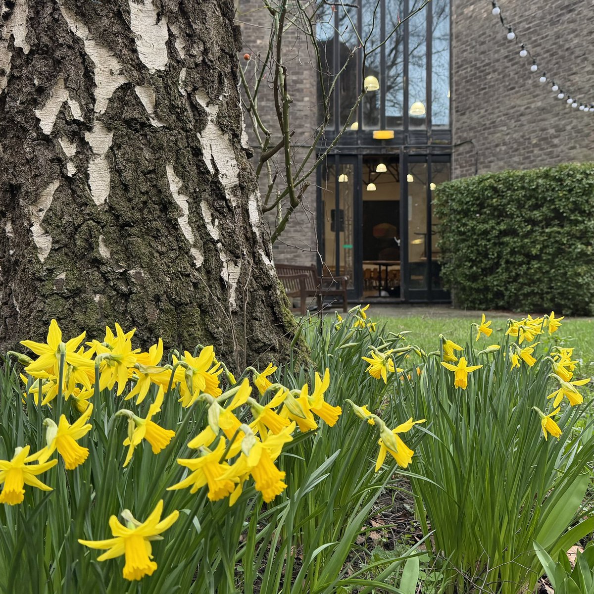 Trevelyan College tweet media