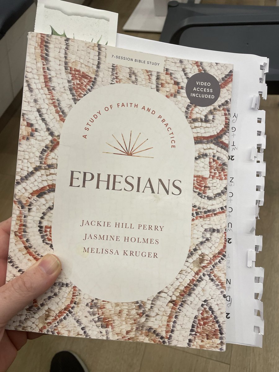 Provisionist Perspective 🩸🌍 tweet media