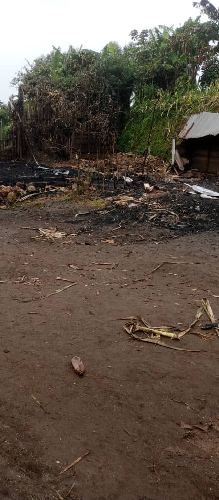 Kivuinfo24's tweet image. 🚨#DRC 🇨🇩

According to Lawrence Kanyuka, before fleeing #Kawele in #Masisi territory on February 26, 2026, coalition forces — including the Forces armées de la République démocratique du Congo (FARDC) and allied local armed groups known as Wazalendo — allegedly burned civilian