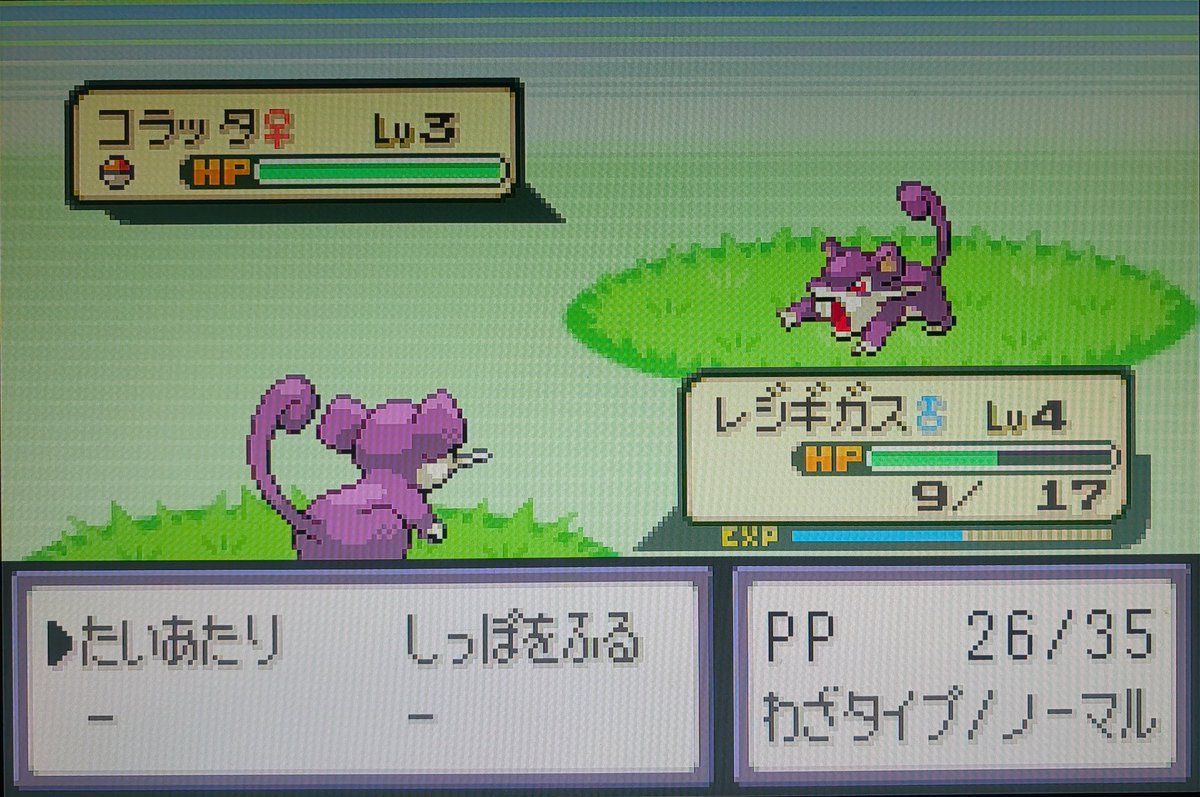 俺のコラッタ
たいあたり2回連続で外すんですけど
