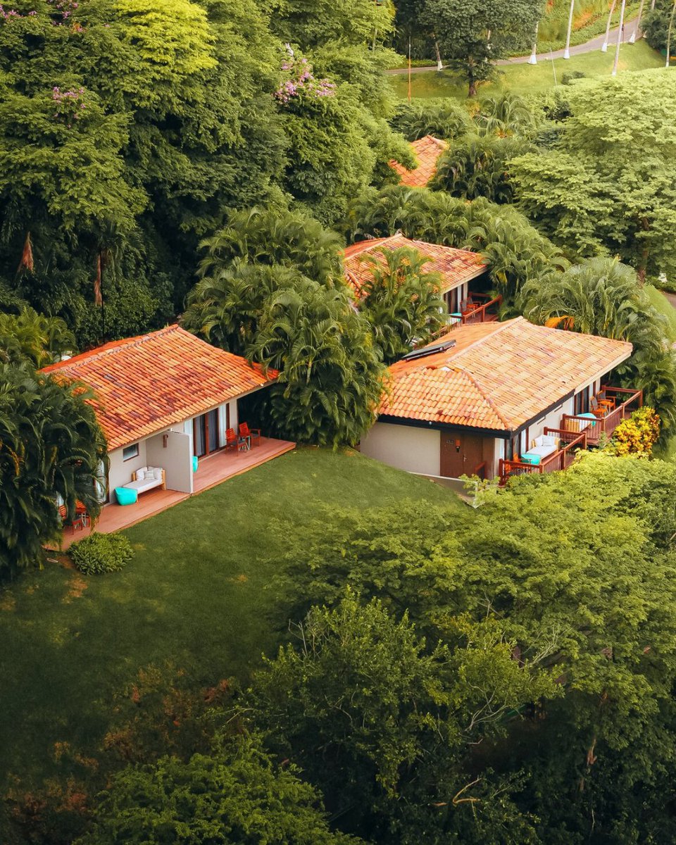 Secrets Resorts & Spas tweet media