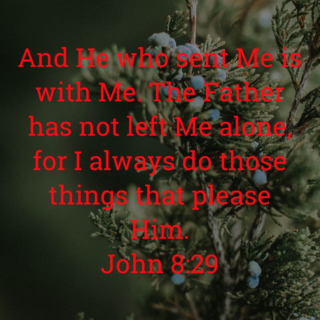 tweets_mb's tweet photo. #Jesus #FatherGod #PleasingToGod https://t.co/Yal6AC9IKE